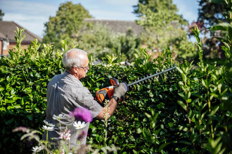 Jardines y exteriores más seguros: iluminación, cámaras y barreras naturales Jardines y exteriores más seguros: iluminación, cámaras y barreras naturales