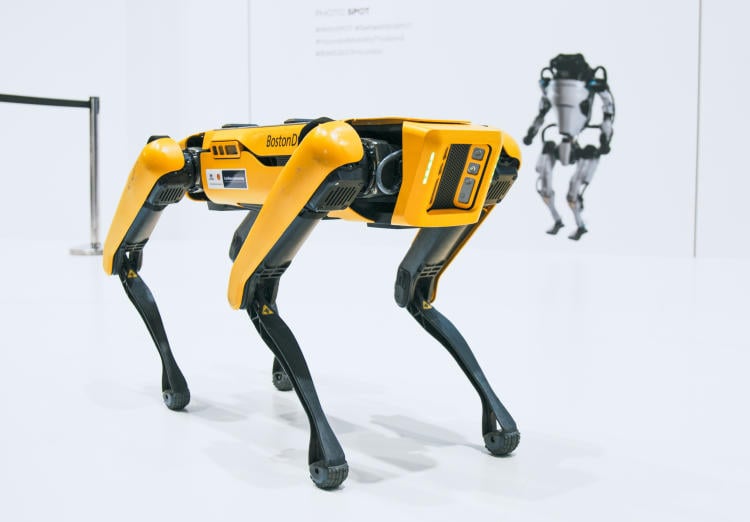 Perro guardián robótico: ¿es posible que tengamos uno? Perro guardián robótico: ¿es posible que tengamos uno?