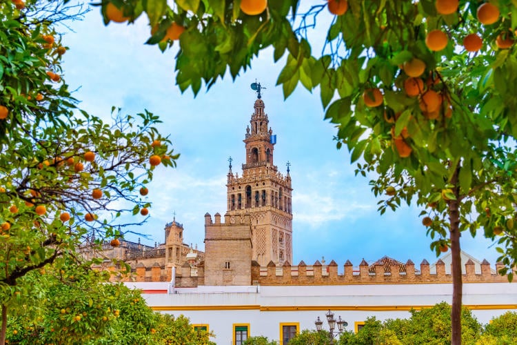 Barrios más peligrosos y conflictivos de Sevilla Barrios más peligrosos y conflictivos de Sevilla