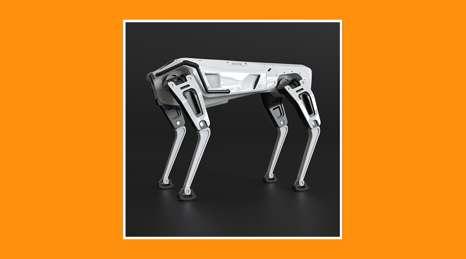Perro guardian robotico.jpg