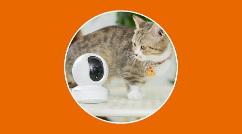 Sistemas de vigilancia para tus mascotas Sistemas de vigilancia para tus mascotas