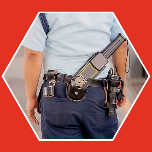 Vigilante de seguridad