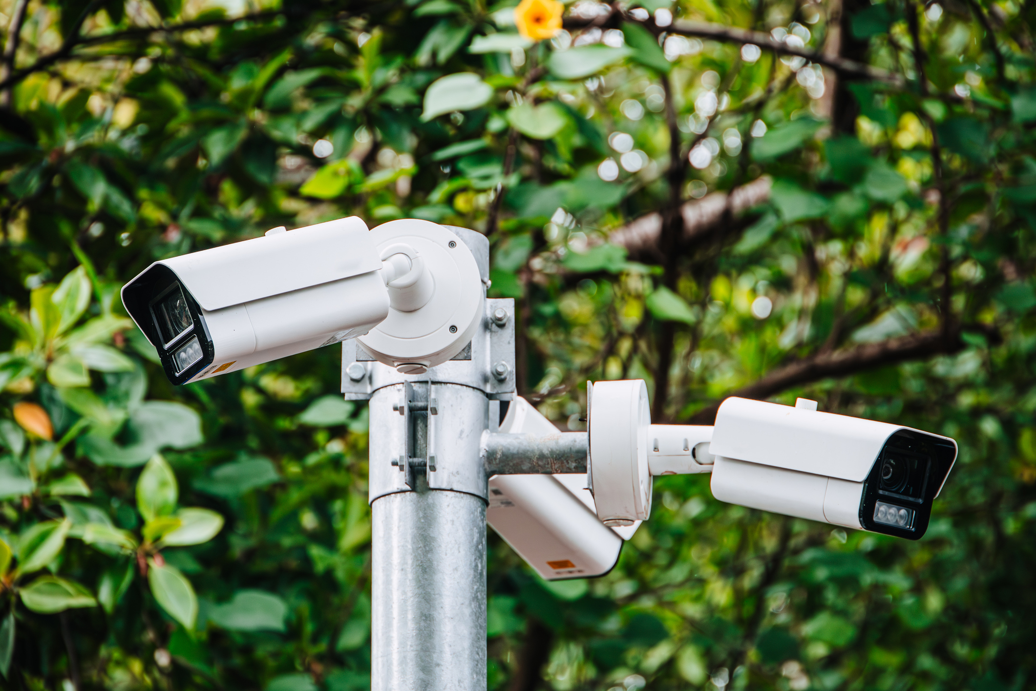 Mejores cámaras de vigilancia con wifi para el exterior