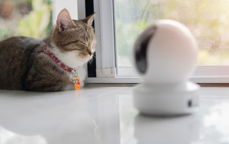 Sensores de movimiento inteligentes: ¿cómo saber cuál necesitas? Sensores de movimiento inteligentes: ¿cómo saber cuál necesitas?