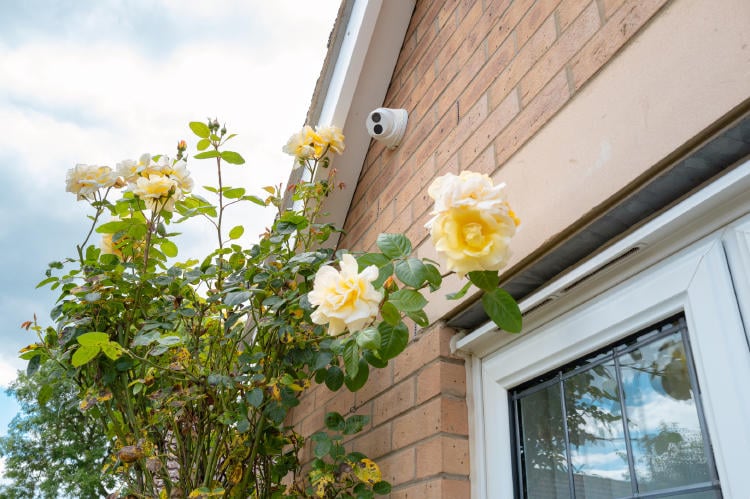 Cómo saber si necesitas una cámara exterior y cuál elegir Cómo saber si necesitas una cámara exterior y cuál elegir