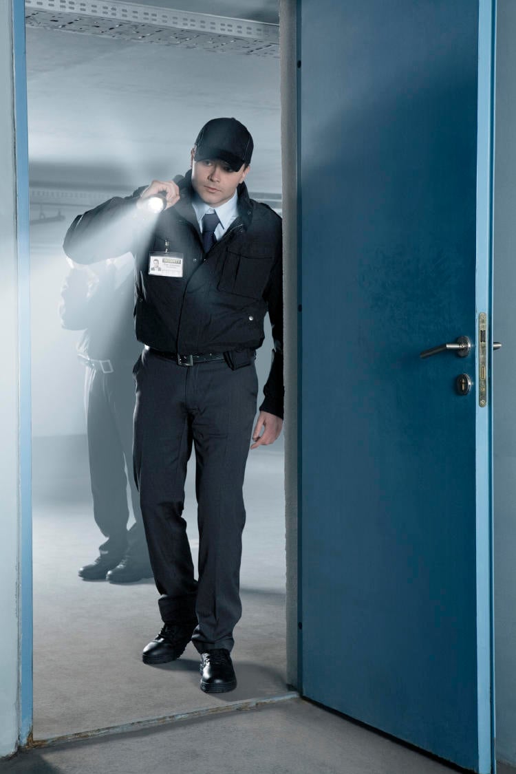 Diferencias entre controlador de accesos y vigilante de seguridad Diferencias entre controlador de accesos y vigilante de seguridad