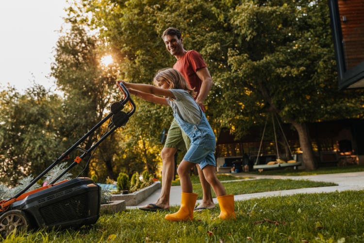 Jardines y exteriores más seguros: iluminación, cámaras y barreras naturales Jardines y exteriores más seguros: iluminación, cámaras y barreras naturales