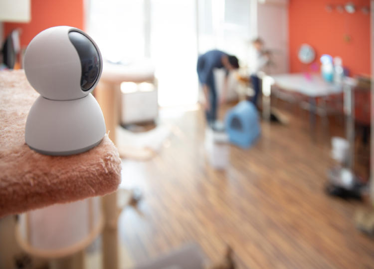 Anti Sabotaje: Protege tu alarma de manipulaciones y desactivaciones Anti Sabotaje: Protege tu alarma de manipulaciones y desactivaciones