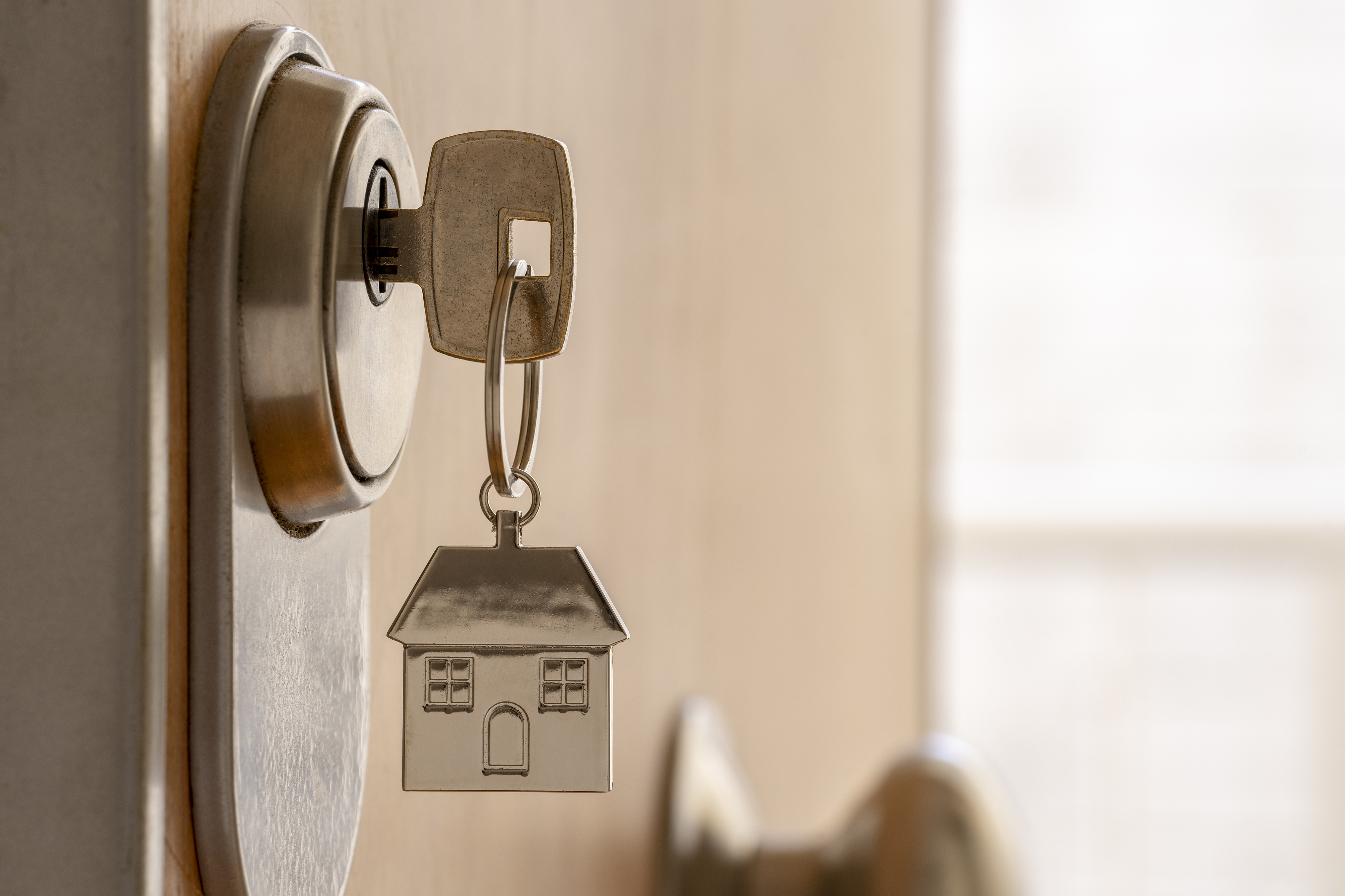 requisito verificacion de imagen empresas seguridad