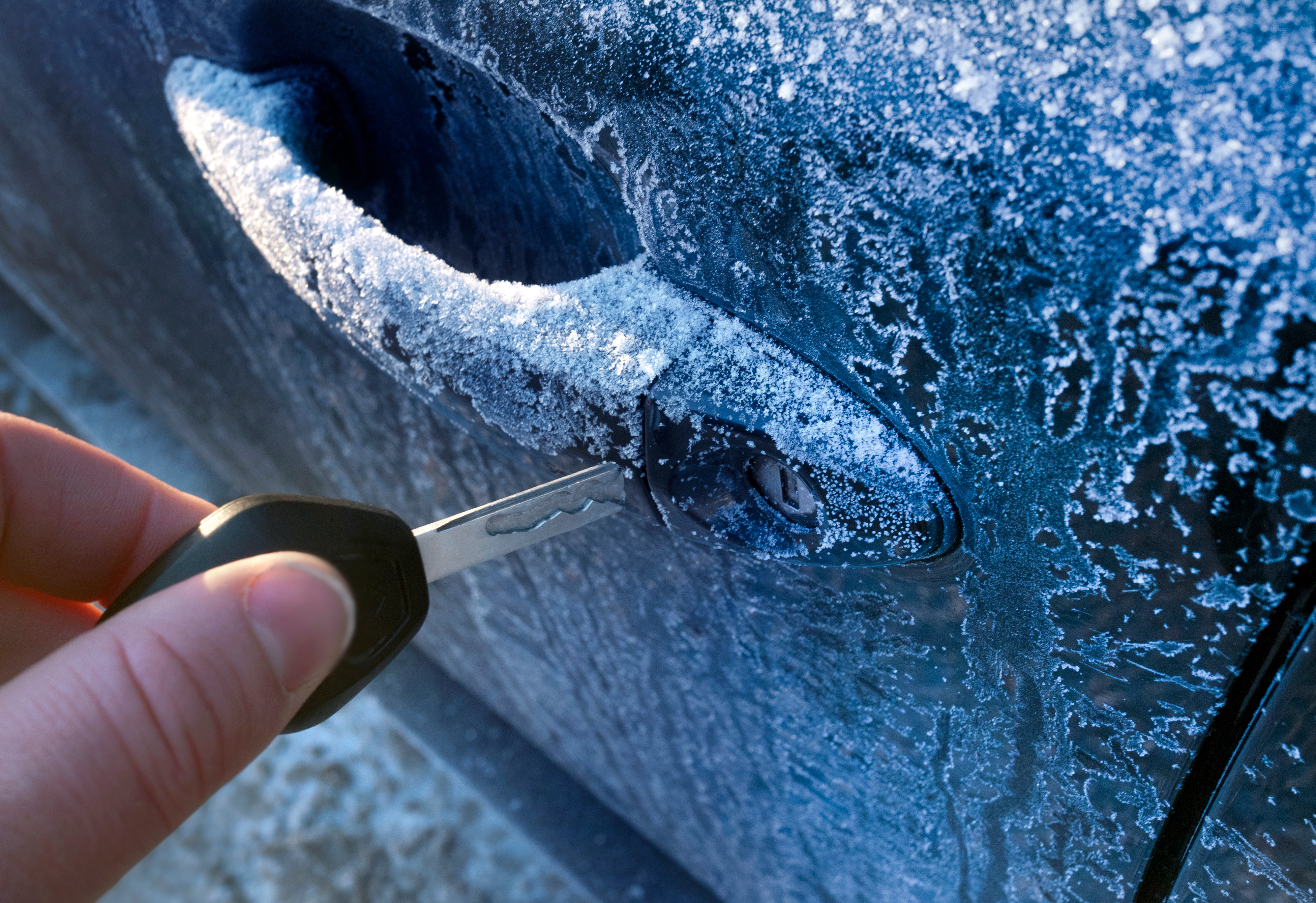 AdobeStock_101044911