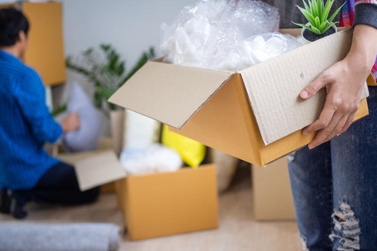 10 consejos de seguridad para proteger tu casa en situaciones de riesgo 10 consejos de seguridad para proteger tu casa en situaciones de riesgo