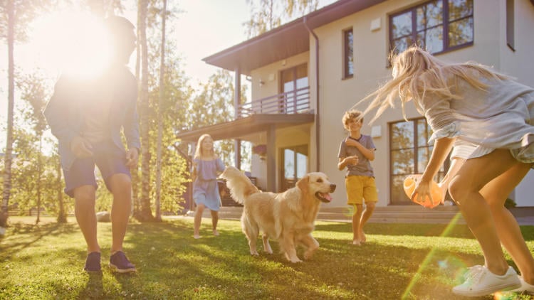 Jardines y exteriores más seguros: iluminación, cámaras y barreras naturales Jardines y exteriores más seguros: iluminación, cámaras y barreras naturales