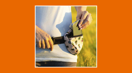 riñonera o bolso riñonera o bolso