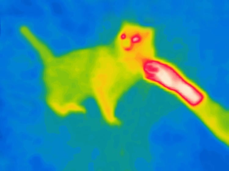 Sensor de movimiento PIR: ¿qué es y cómo funciona? Sensor de movimiento PIR: ¿qué es y cómo funciona?