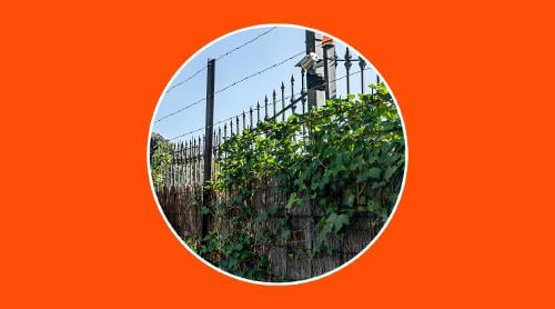 Cámara Finca Cámara Finca