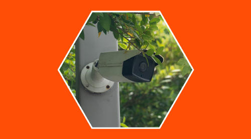 Cámaras de seguridad más efectivas: ¿ocultas o visibles?	 Cámaras de seguridad más efectivas: ¿ocultas o visibles?