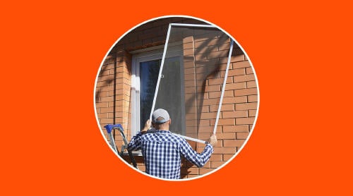 Qué función de seguridad cumplen las mosquiteras de casa Qué función de seguridad cumplen las mosquiteras de casa