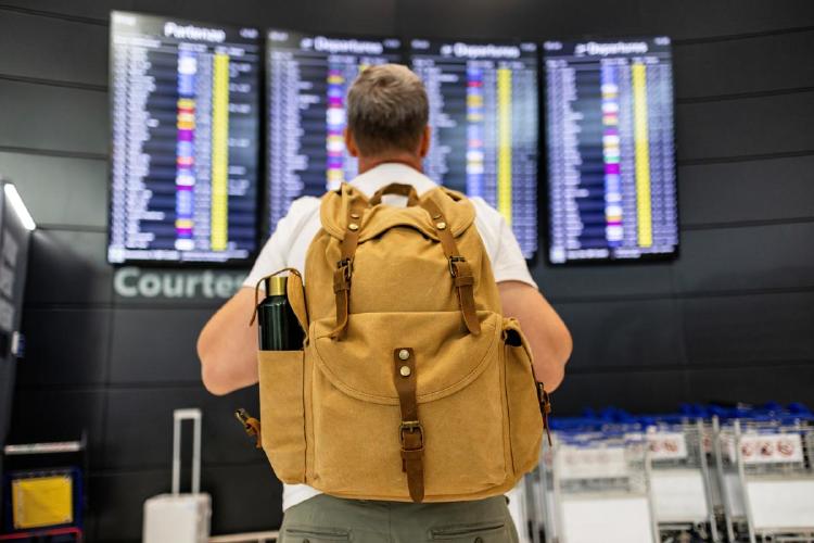 viaja seguro viaja seguro