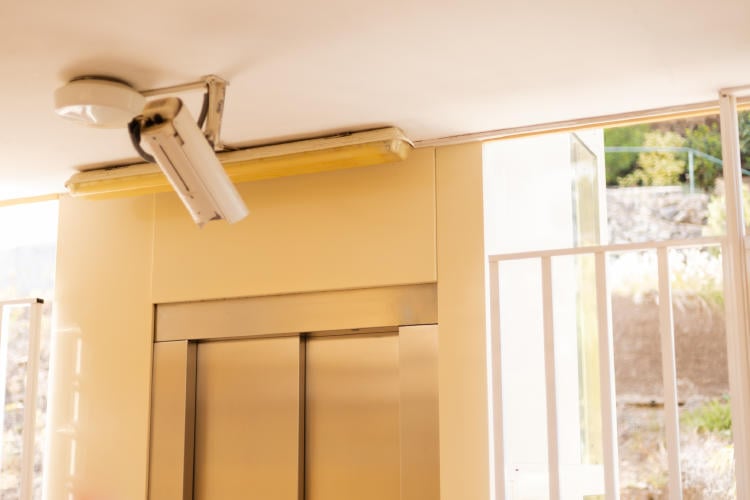 cámara entrada cámara entrada